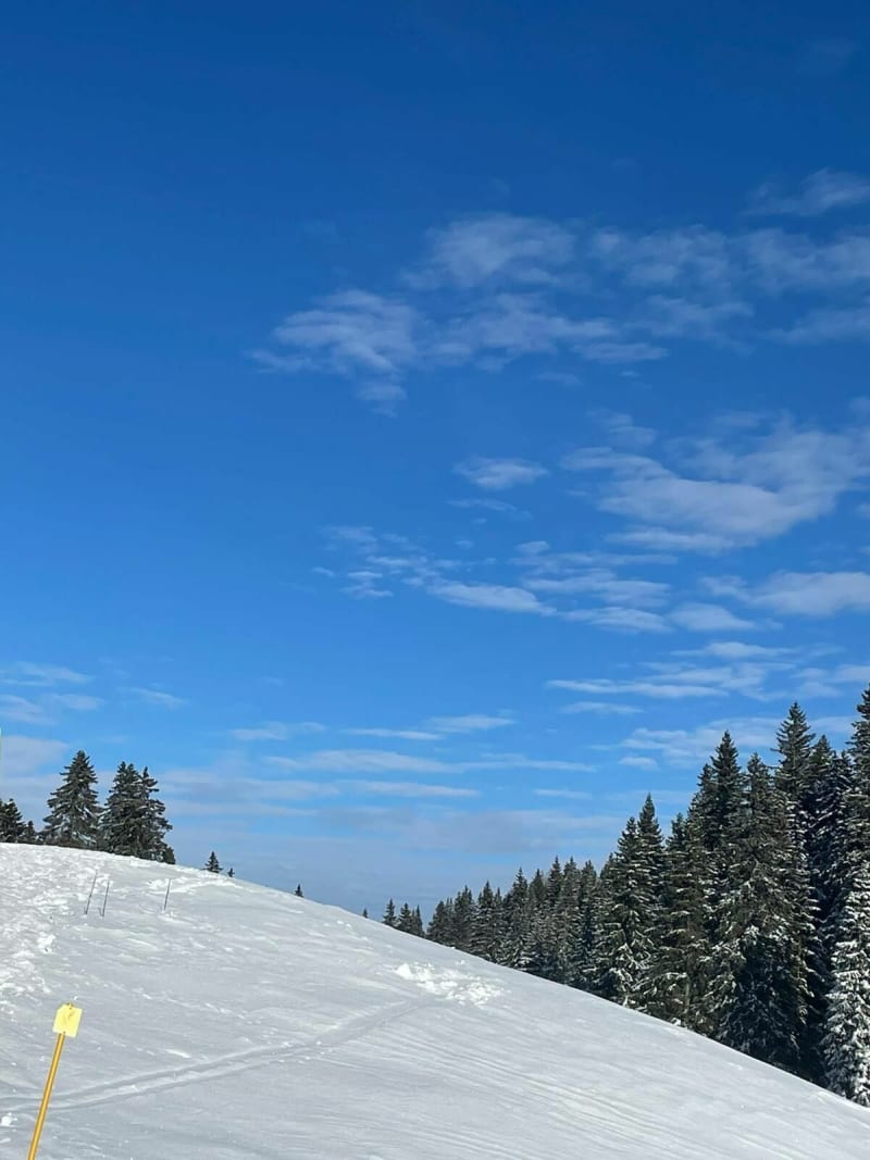 Sneeuwschoenwandeling in Les Rousses - Les Rousses
