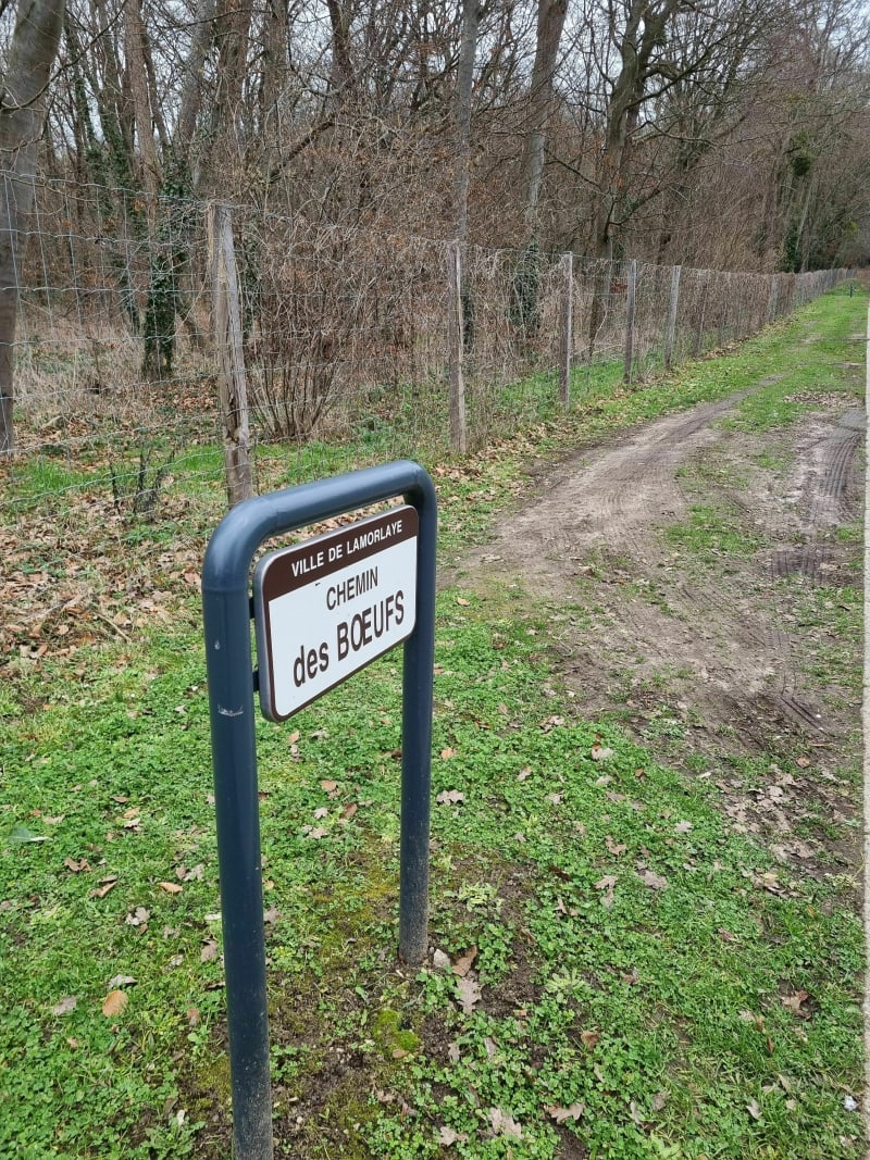 Le tour du Mont de Pô et Aiglemont - Lamorlaye