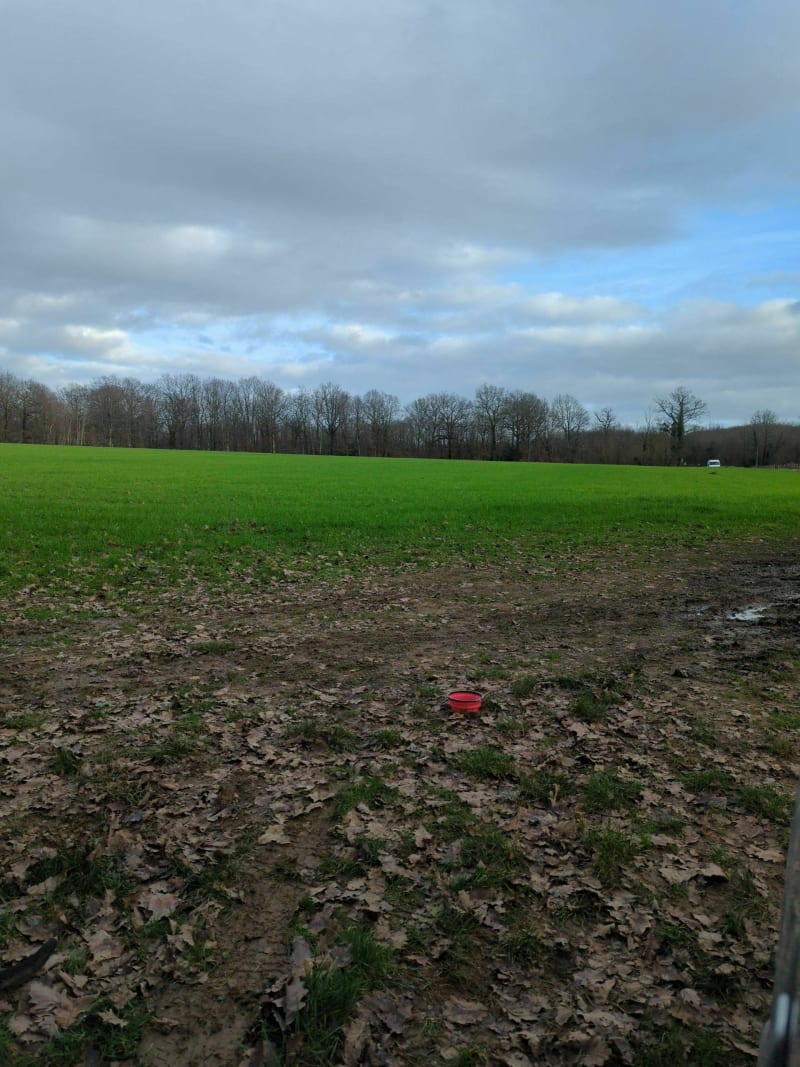 Chasseneuil - Chasseneuil-sur-Bonnieure