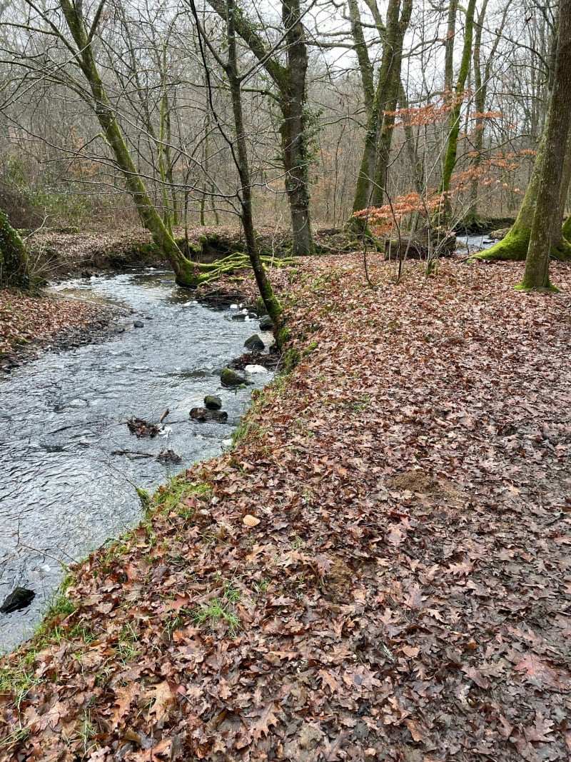 Promenade aux bords de l’Auzette - Panazol