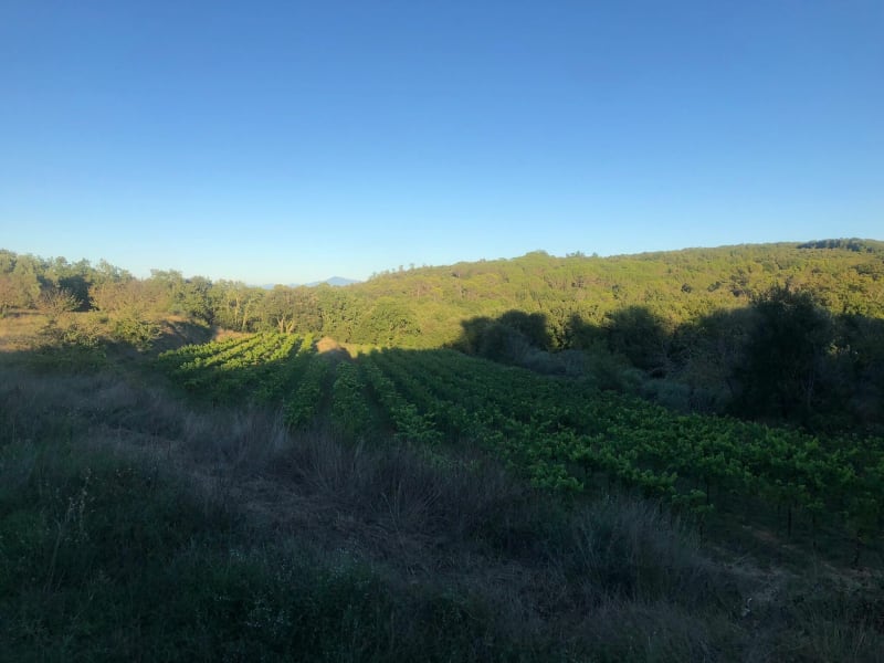 Petite balade à le Pin - Le Pin