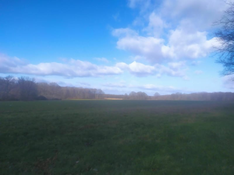 Entre champs et forêt - Raizeux