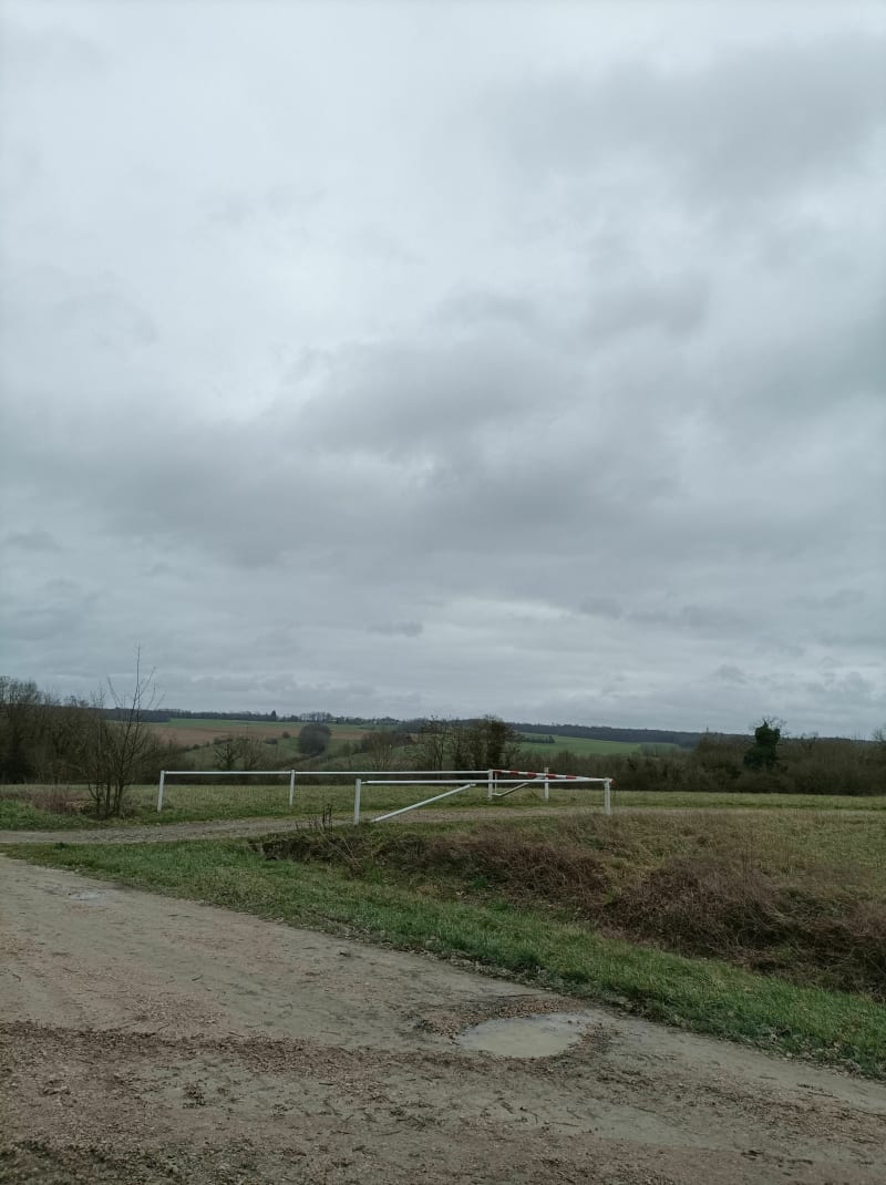 Balade près des Ulm à Fains Veel - Fains-Véel
