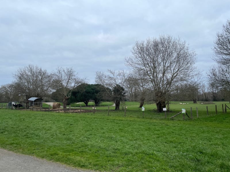 Promenade à Saint Sébastien sur Loire - Nantes