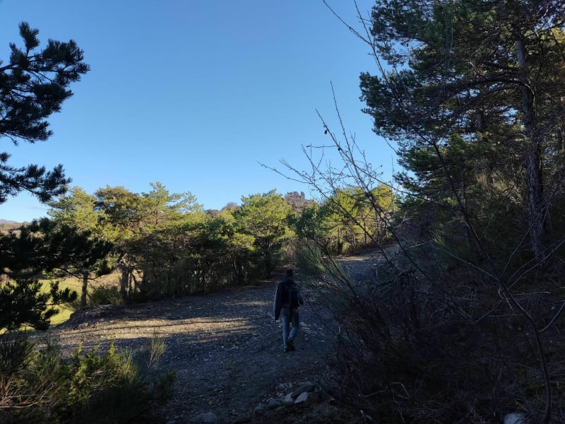 Sur le sentier de Sigoyer à Thèze. - Sigoyer