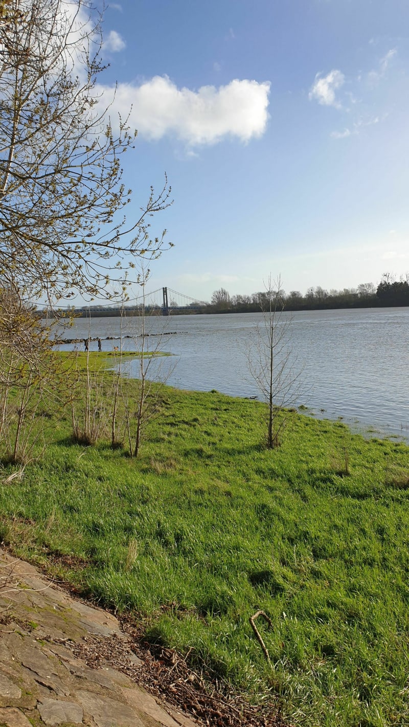 La vallée à Pont d'Ancenis - Ancenis-Saint-Géréon
