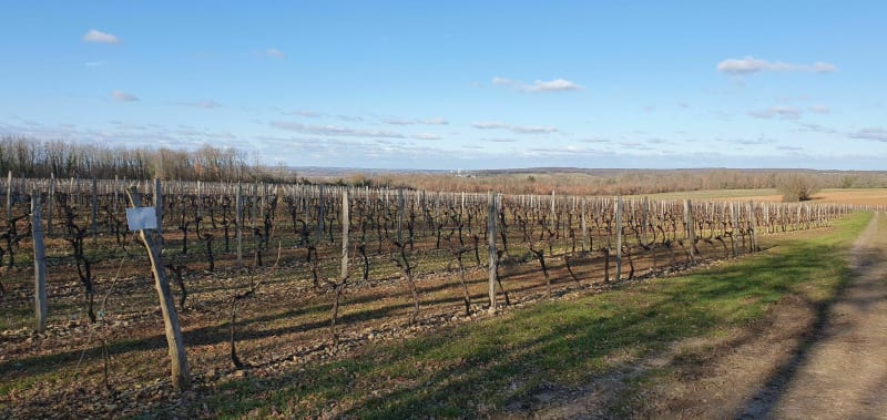 Forêt de Gersac et le Puits de Malipougne - Mouthiers-sur-Boëme