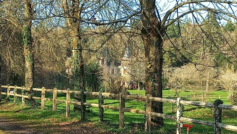 Pinson sur Planche Marion - Pontchâteau