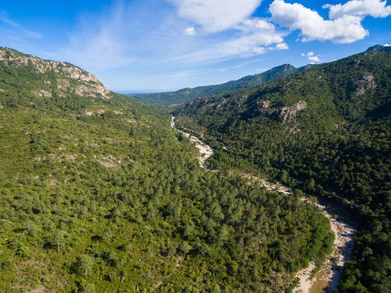 Boucle des Mandria et Carbunari dans la vallée du Cavu - Zonza