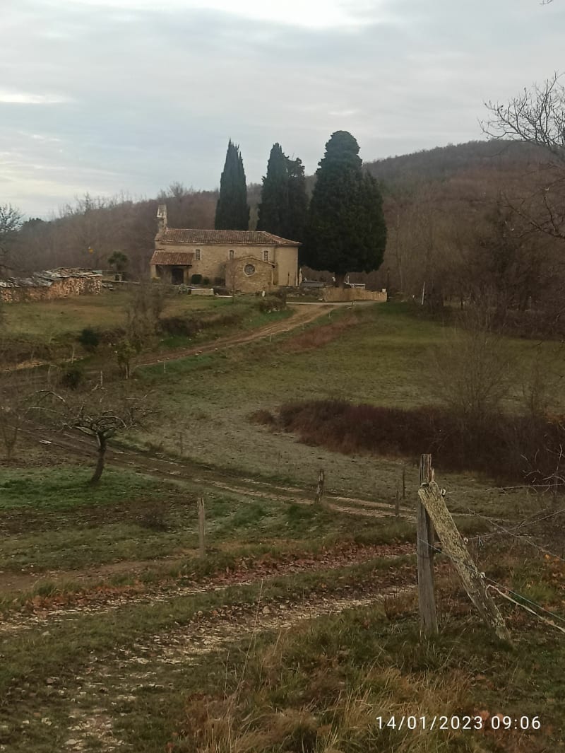 Les chataigniers du Picou - Pradettes