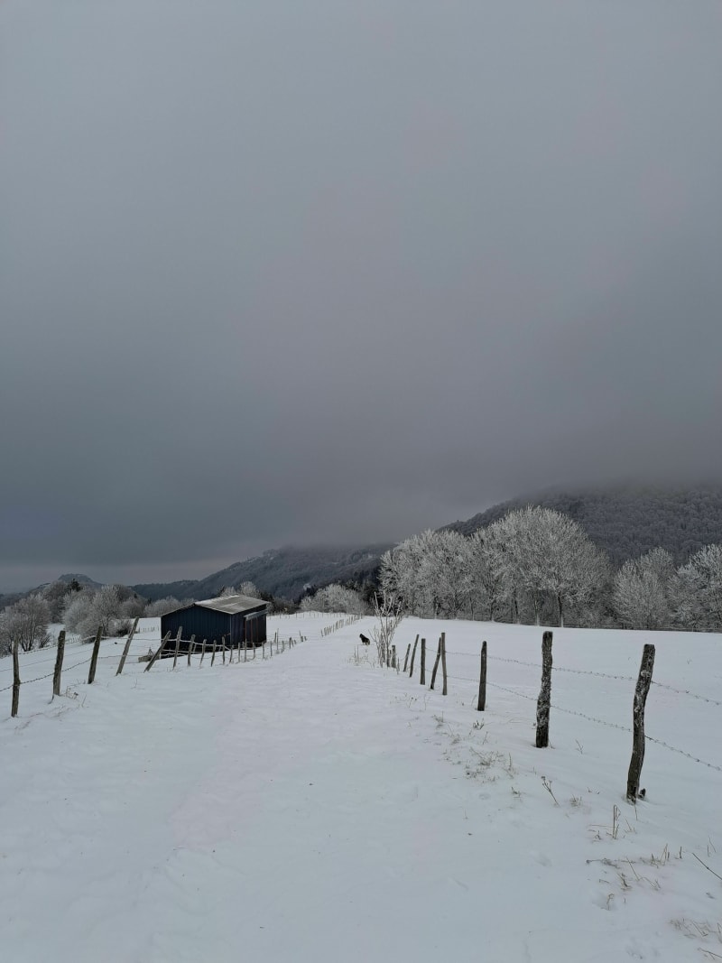 Balade à Thiaulaire - Besse-et-Saint-Anastaise