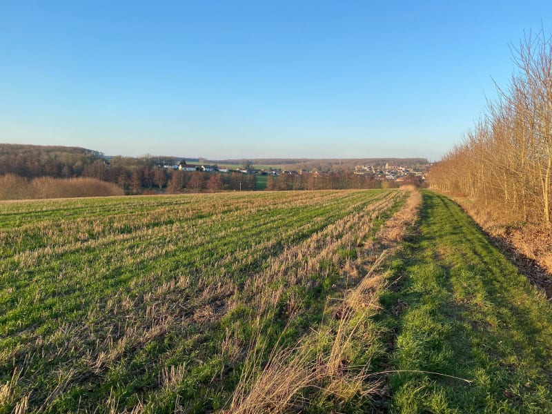 Tour entre Saulnieres et Fontaine les Ribouts - Saulnières
