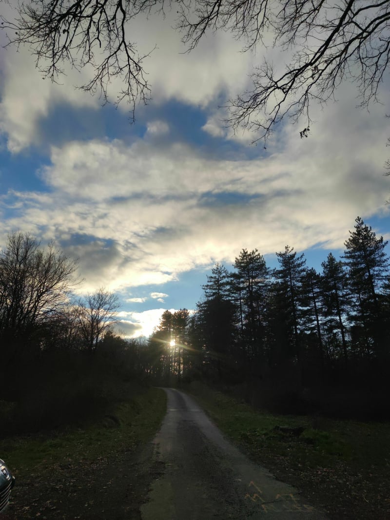 Forêt Rieumes - Rieumes