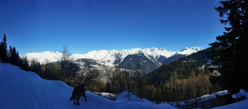 Descente de Pré Saint Esprit à Arc 1600 - Bourg-Saint-Maurice