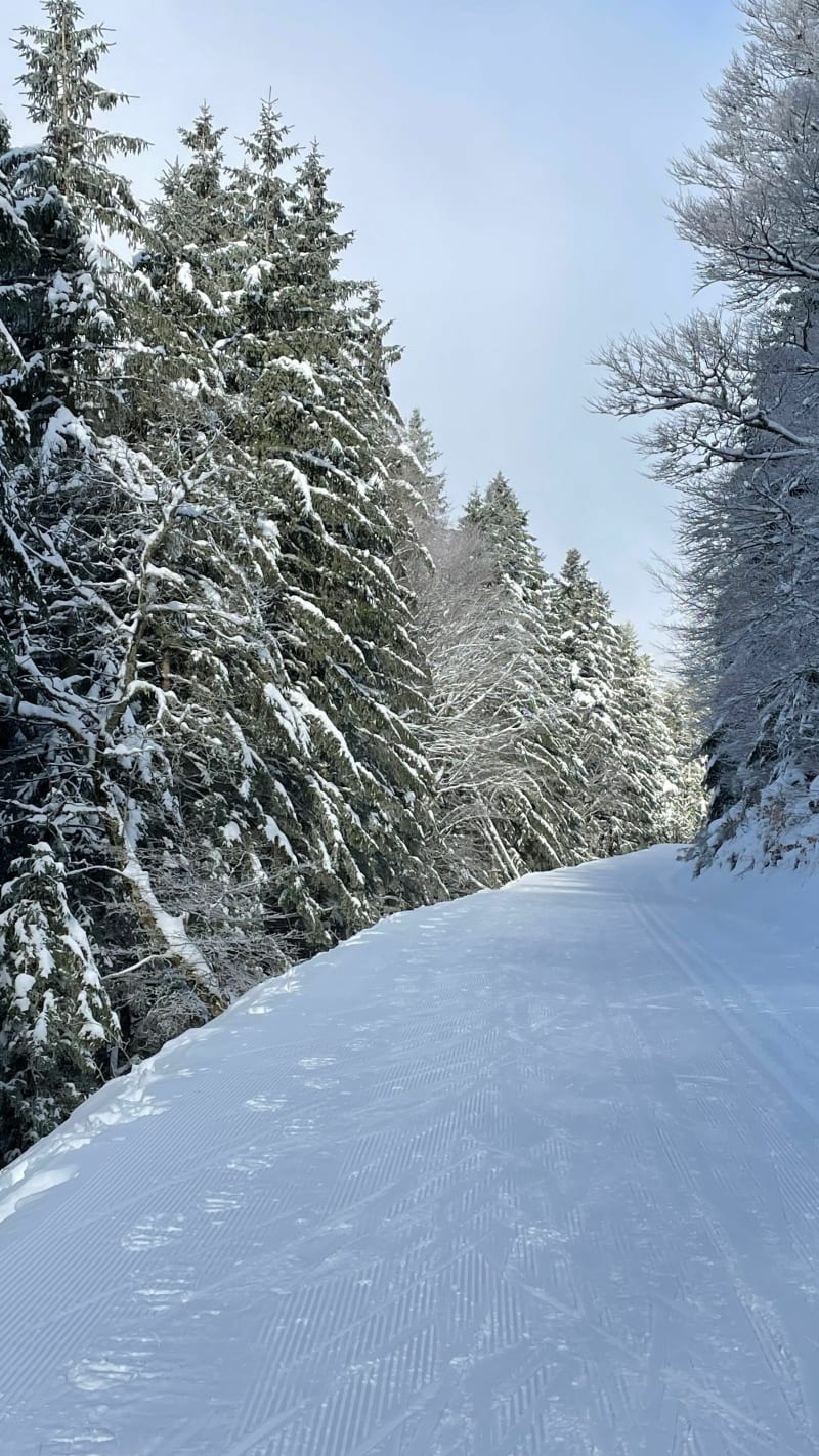 Ski de fond au Mont-Dore - Mont-Dore