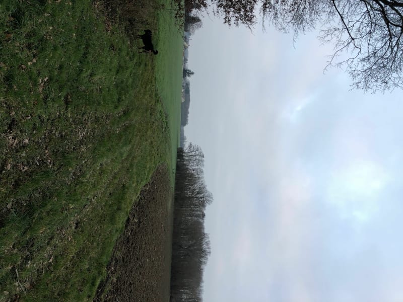 Petite Rando hivernale à Quiers sur Bézonde - Quiers sur Bézonde