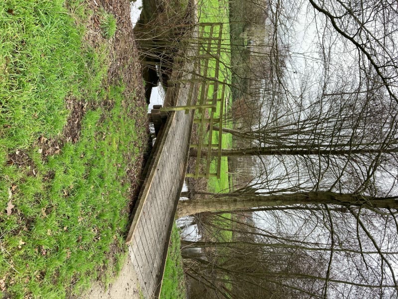 Contournement de Cossé le Vivien. - Cossé le Vivien.