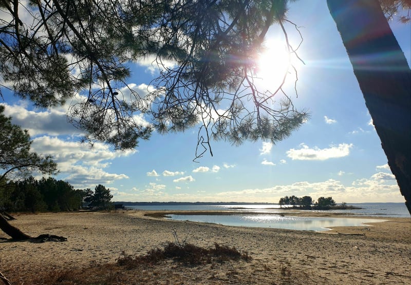 Sanguinet ville, forêt et lac - Sanguinet