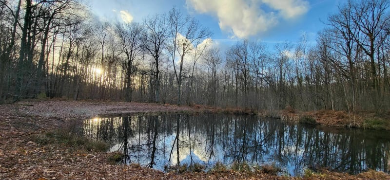 Promenade forêt de l'Hautil au dessus de Vaux sur seine - Vaux sur Seine