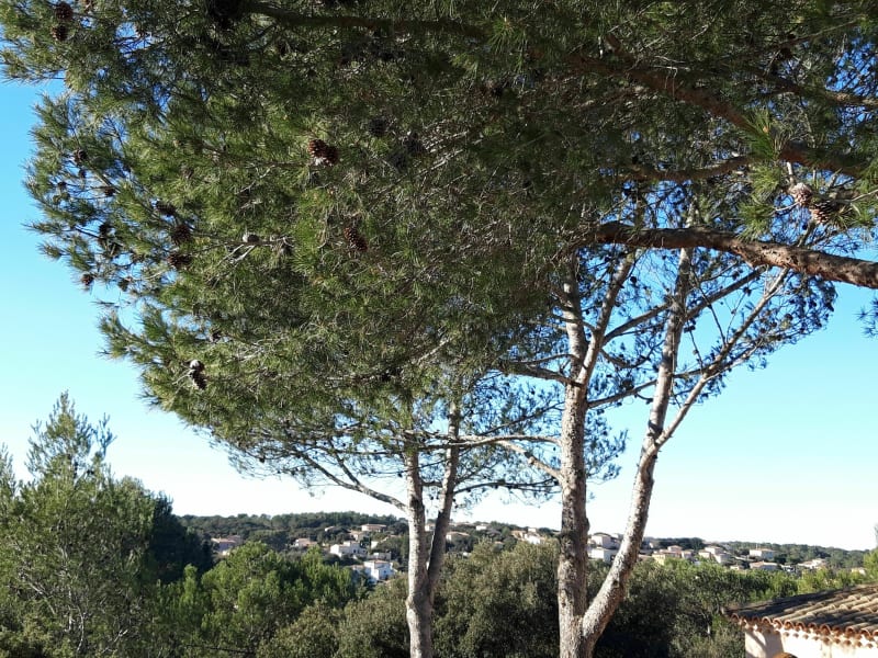 Poulx, un village au cœur de la garrigue - Poulx