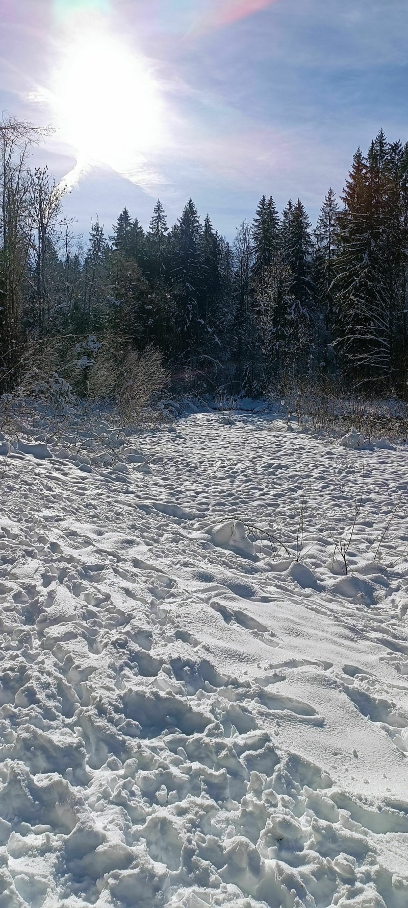 Parc des dérêches - Morzine