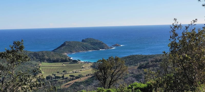 Het fort van Croix Faron vanuit Toulon - Toulon