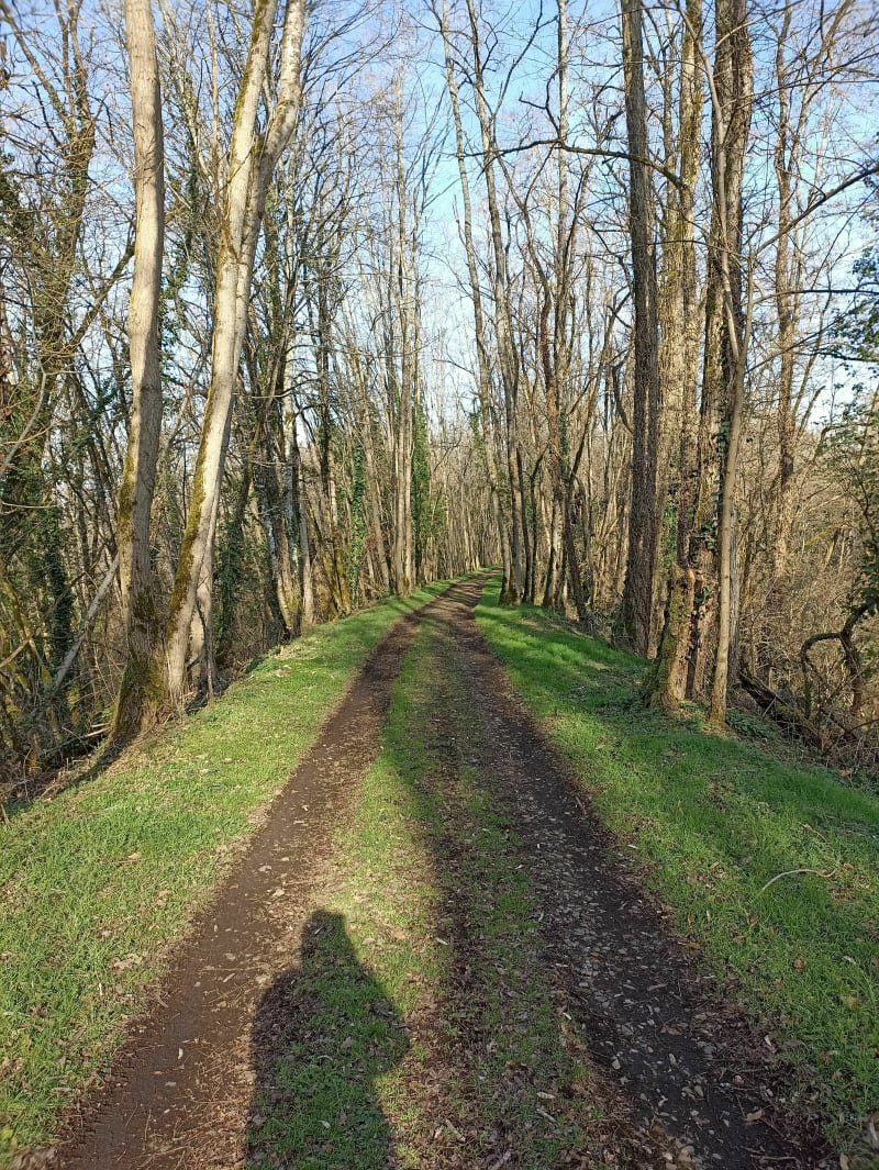 Sentier de l'ancienne voie ferrée - Hautefort