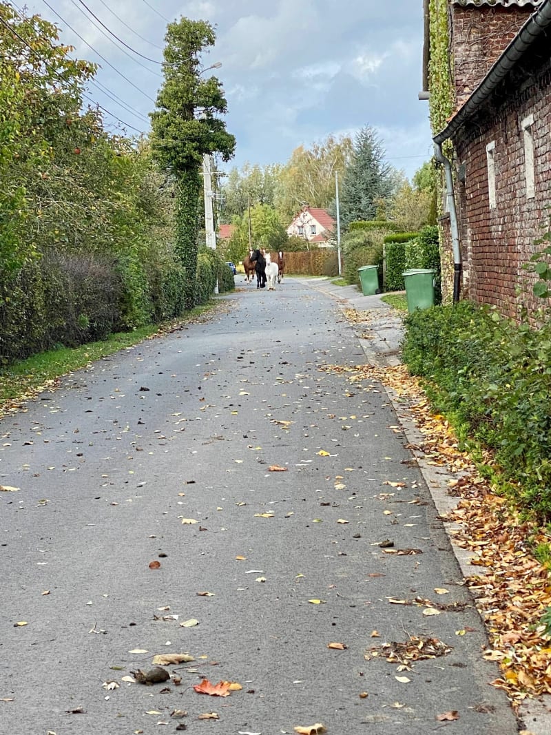 Belle balade le long du canal de la Lys - Saint-Floris