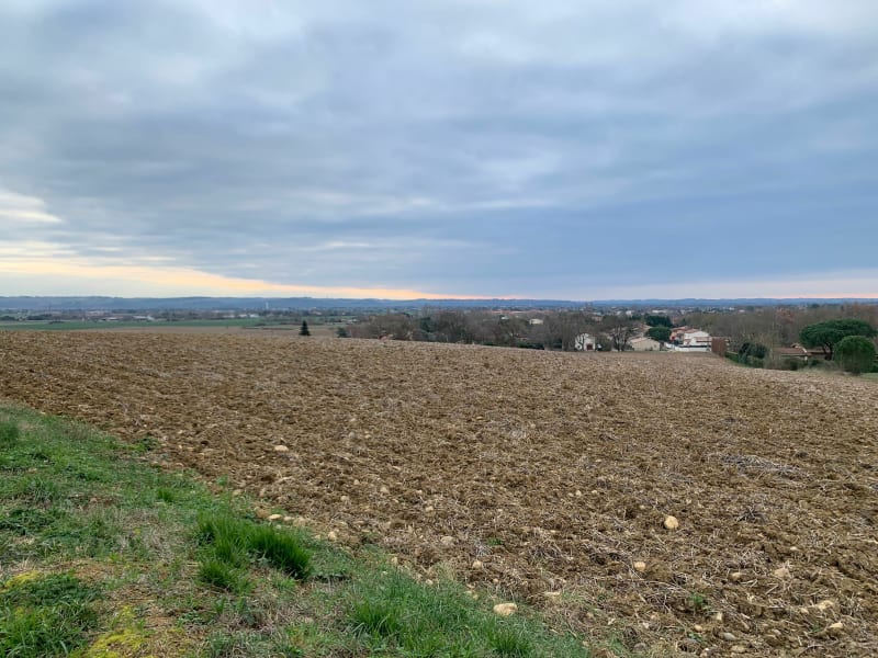 Bord de Garonne à Saubens - Saubens