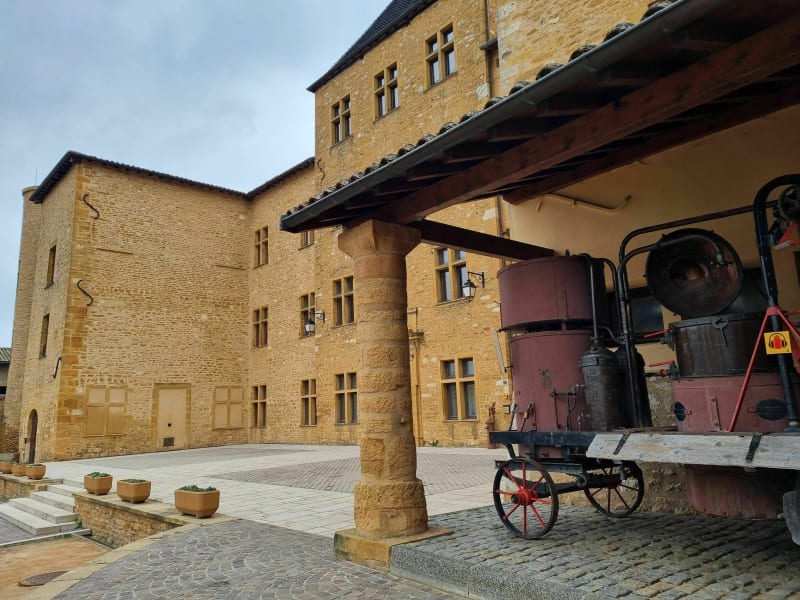 Rando des vignes  Lozanne Charnay Belmont - Lozanne