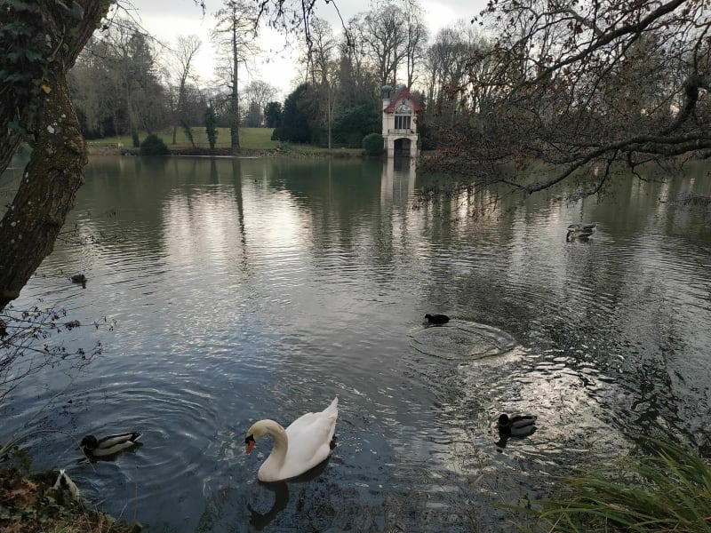 Balade du dimanche à vélo sur les bord du Loiret - Saint Pryvé Saint Mesmin