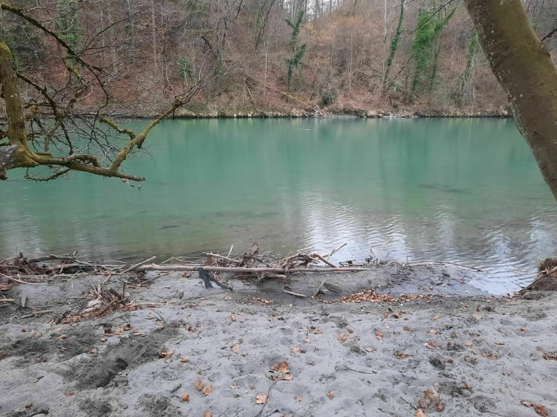 Bord de l'Arve - Veyrier