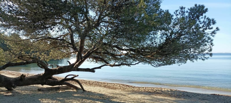 Sentier du Littoral de La Londe vers Brégançon - La Londe-les-Maures