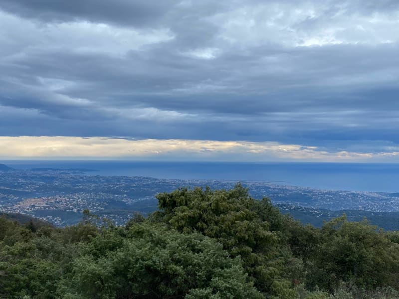 Domaine des Courmettes et vue sur la mer - Tourrettes-sur-Loup