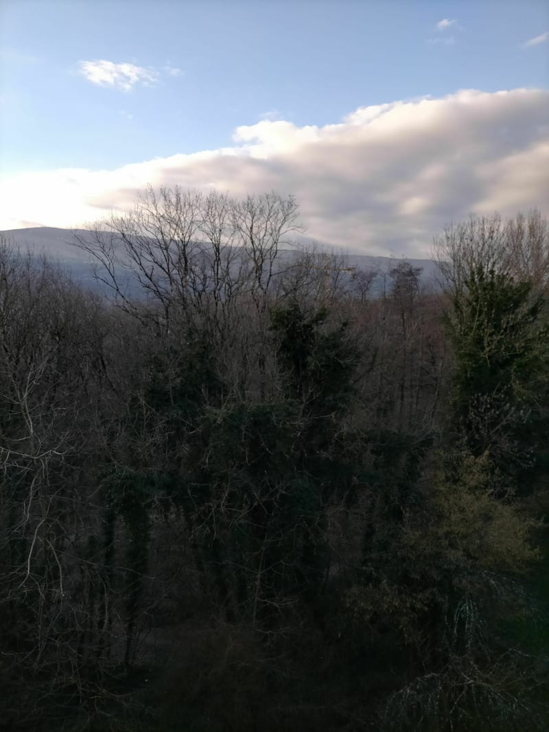 Combe verte et Parc du Talweg - Chambery le Haut
