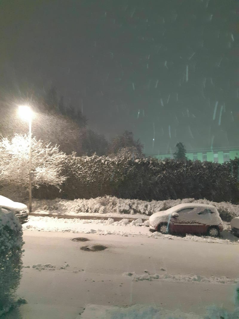 Parc de Brabois après la neige - Vandœuvre-lès-Nancy