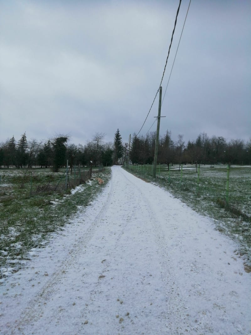 Balade au chemin blanc Dieulouard - Dieulouard