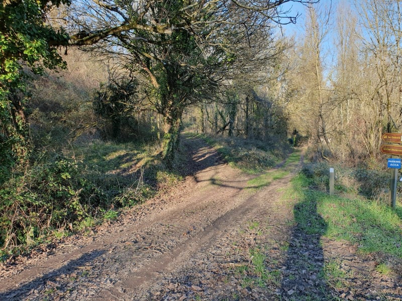 Queaux sentier sous les falaises et en bord de Vienne - Queaux