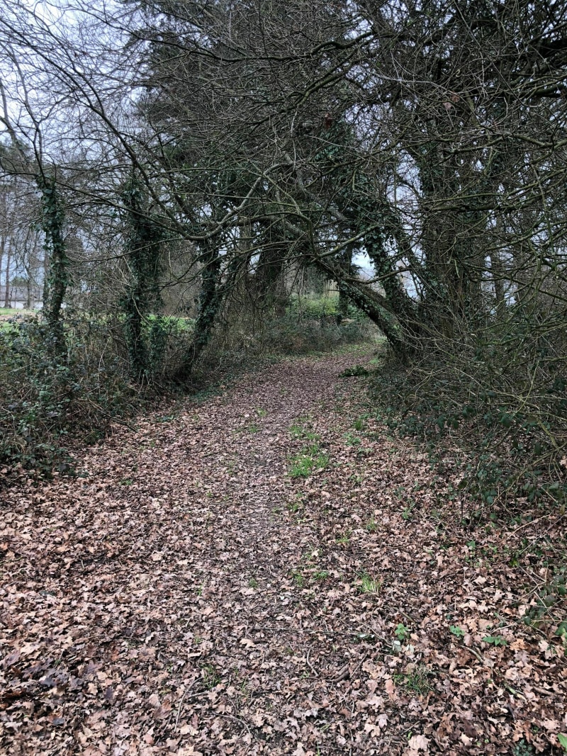 Sentier des Melessiens - Melesse