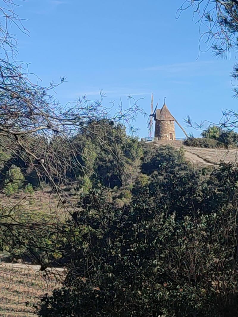 Circuit par moulin de Félines, retour par la tour Trencavel - Trausse