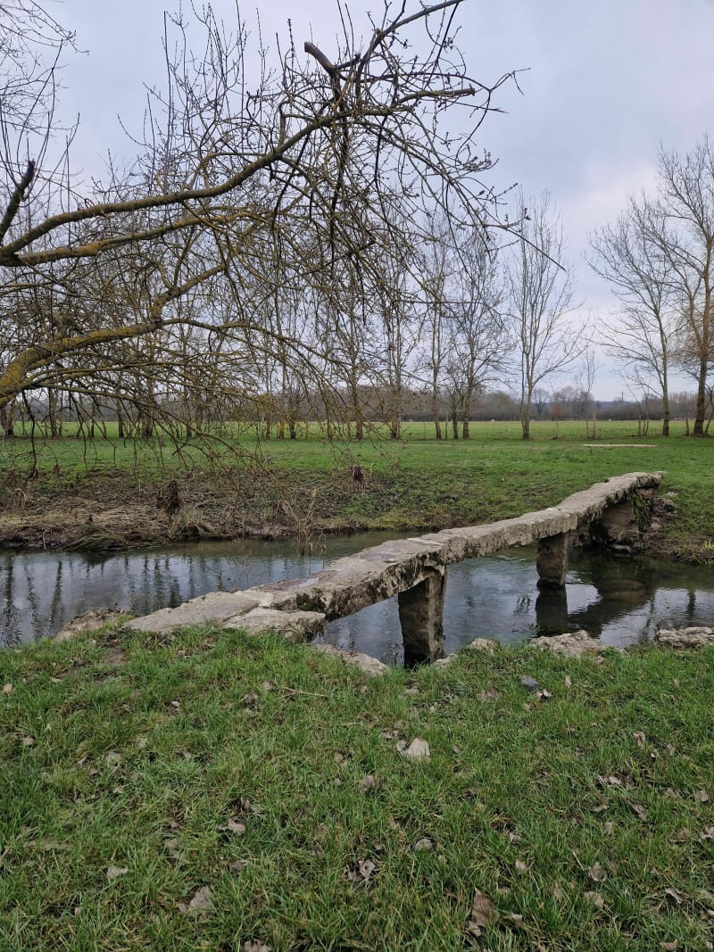Au pied du Loir - Lhomme