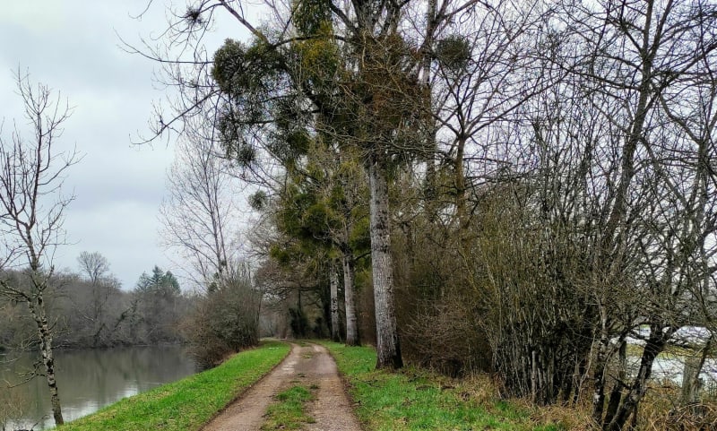 Promenade Fedry, au bord de la Saône - Fédry