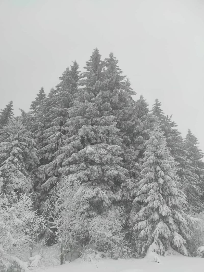 Pessade et le Puy de la Védrine - Saulzet-le-Froid
