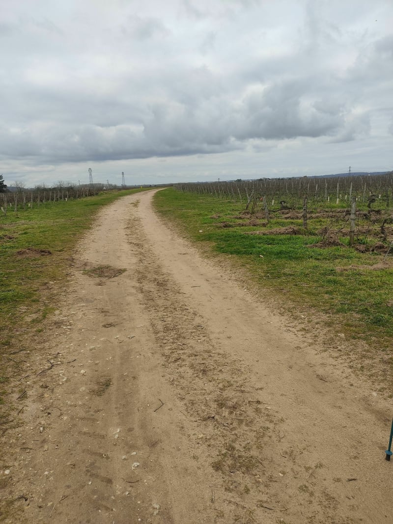 Randonnée au calme sur les hauteurs de Montlouis sur Loire - Montlouis-sur-Loire