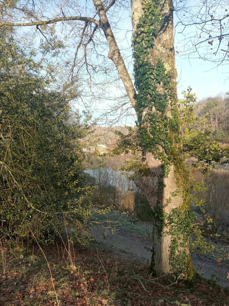 Moulin Neuf bis - Malansac