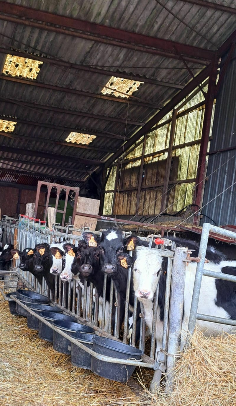 Chercher le Bio à Laigné-en-Belin - Laigné-en-Belin