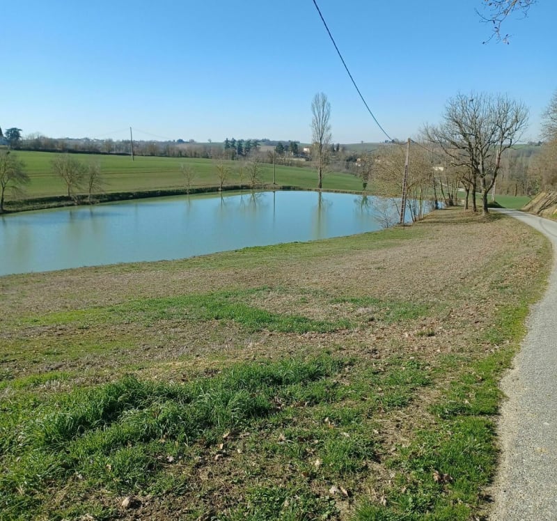 A travers champs PR21 Montestruc sur Gers - Montestruc-sur-Gers