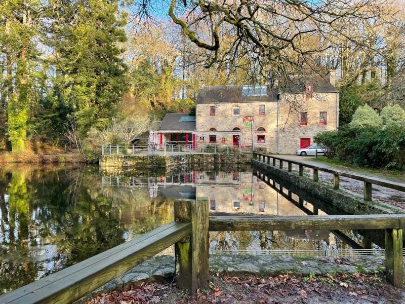 Balade au bois de Keroual - Guilers