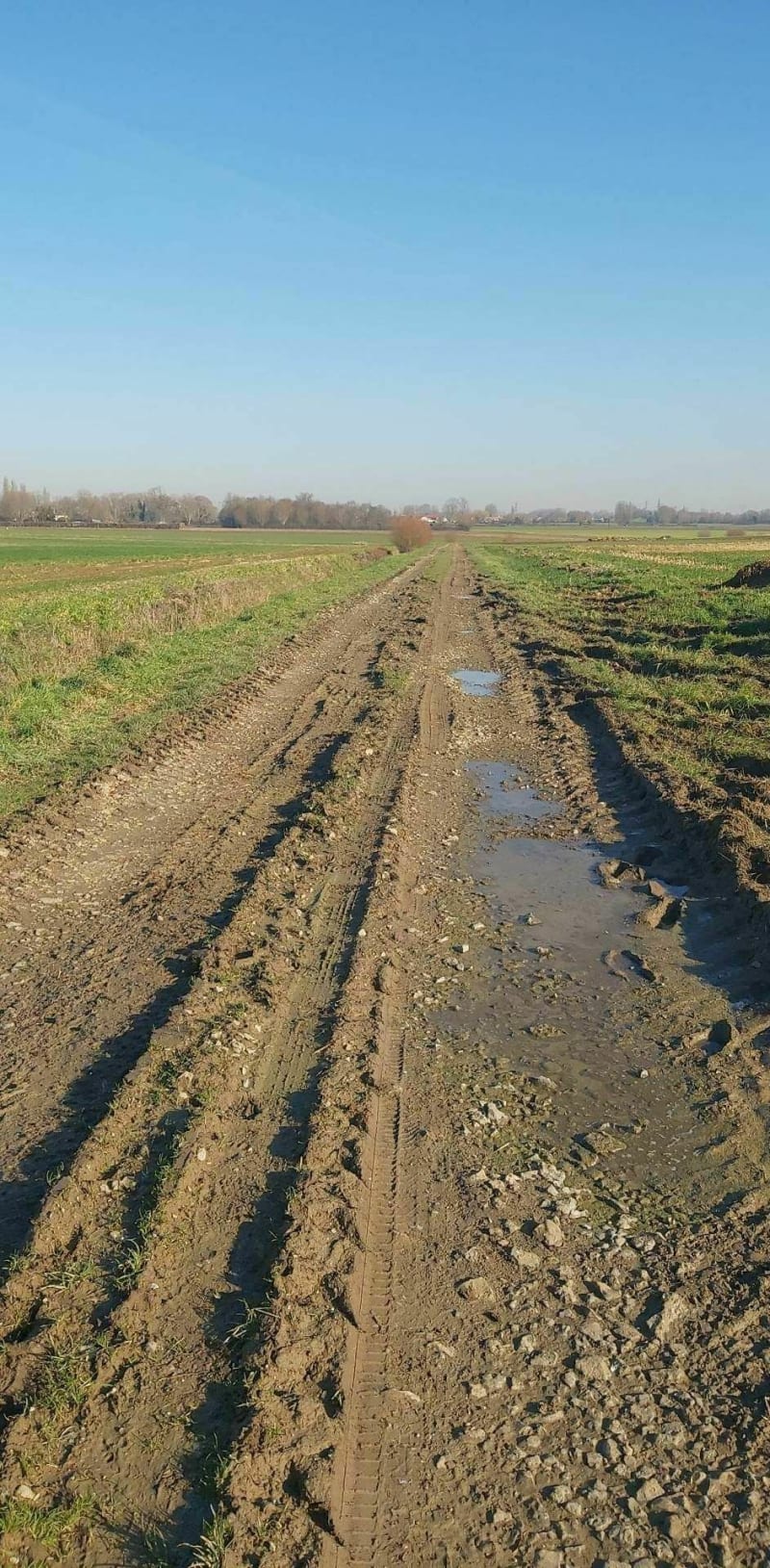 La balade des mottes à Lederzeele - Lederzeele