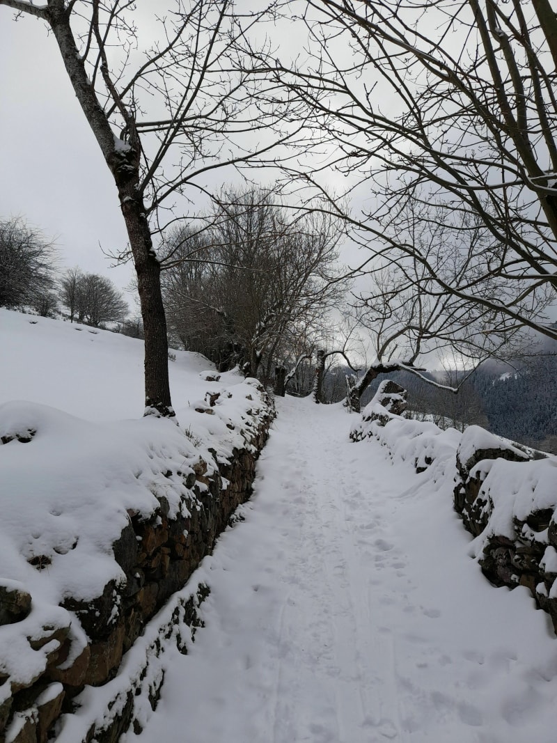 Ardengost et le Bois des Gouttes - Ardengost